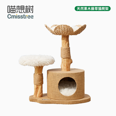 喵想树实木蒲草猫爬架子猫窝猫树一体树干夏天小型剑麻不占地猫架