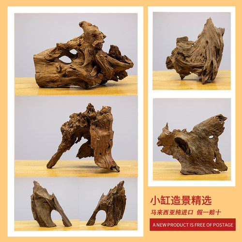 进口马来西亚小精品流木小鱼缸造景沉木免煮草缸布景乌龟晒背躲避
