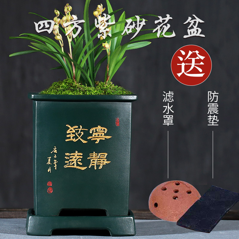 宜兴紫砂花盆兰花盆君子兰花草泥绘带托盘紫砂底座古典陶瓷花盆