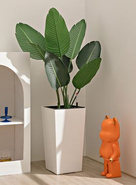 欧式方型大号绿植花盆家用白色绿萝种植盆客厅自吸水懒人塑料花盆