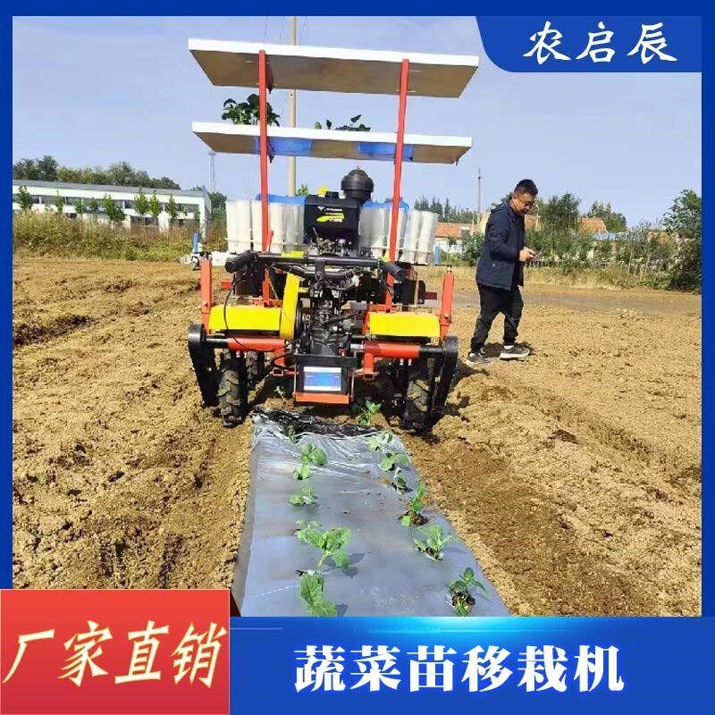 自走式辣椒苗移栽机 辣根茄子芹菜栽苗机拖拉机带的插苗机移苗机