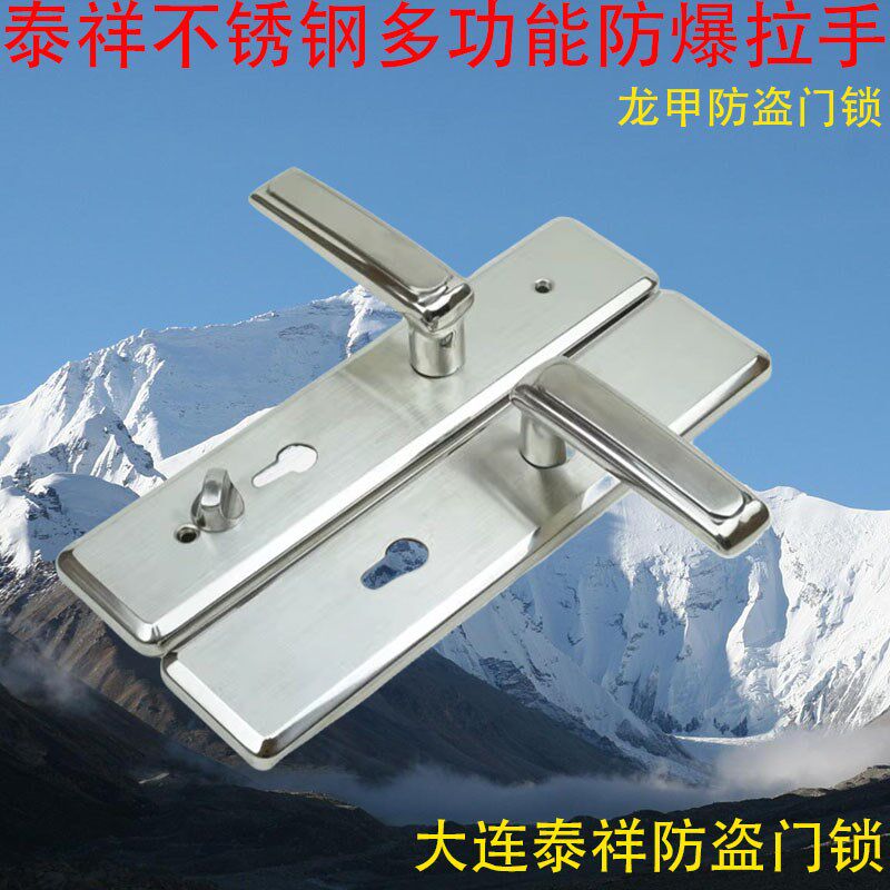 大连泰祥龙甲防盗门拉手不锈钢多功能加厚面板DL泰祥十齿轮执把手