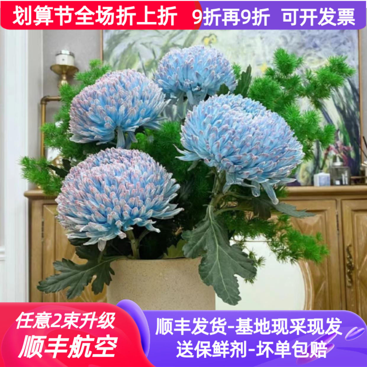 鲜花牡丹菊吸色云南昆明斗南基地市场直发花卉真花室内水培插花束