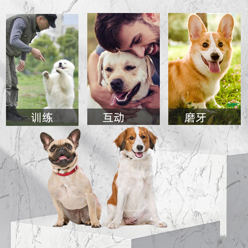 狗零食鸡肉软切丝400g宠物训犬奖励幼犬老年犬磨牙泰迪小狗鸡肉条,宠物/宠物食品及用品,狗风干零食/肉干/肉条,淘宝优惠券,粉丝福利购,淘宝优惠卷