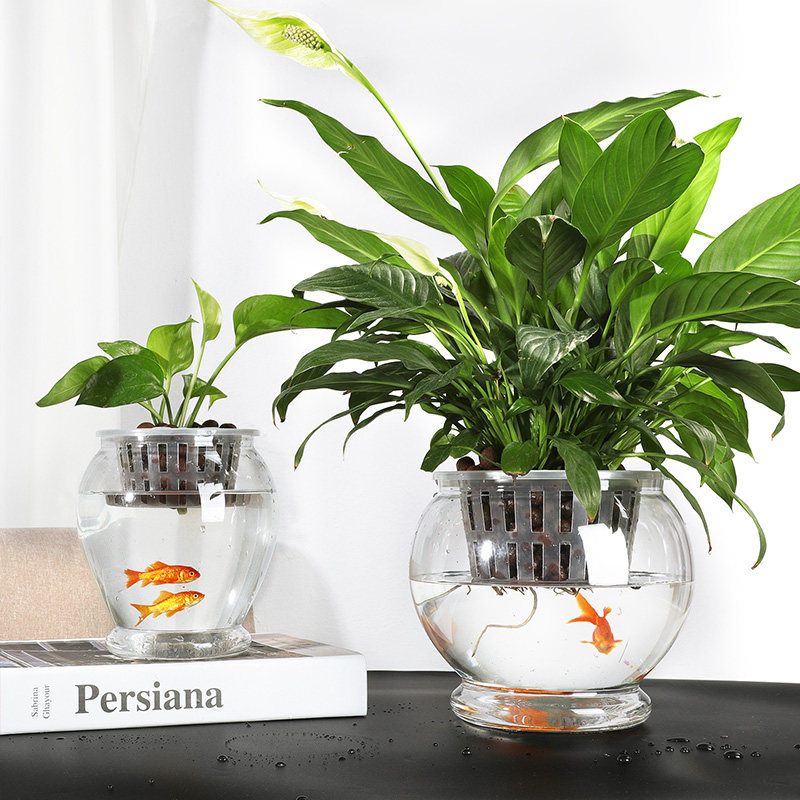 透明塑料水培懒人花盆花瓶容器室内绿萝红掌植物水养器皿创意鱼缸,鲜花速递/花卉仿真/绿植园艺,花盆,淘宝优惠券,粉丝福利购,淘宝优惠卷