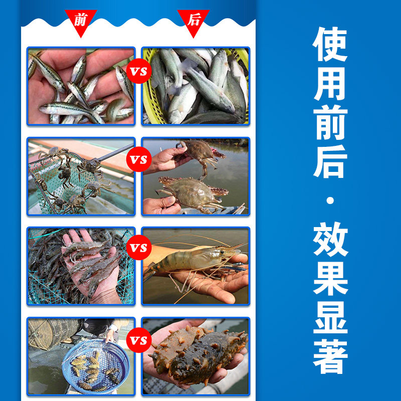 酵母菌水产养殖发酵菌液轮虫培育鱼虾蟹育苗期开口饵料海洋红酵母,宠物/宠物食品及用品,其他益生菌,淘宝优惠券,粉丝福利购,淘宝优惠卷