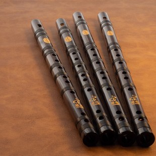 翠鸟 玄燕系列中式竖笛 专业竖吹竹笛 国风民族乐器 龙年纪念品