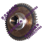 Z48 61320齿轮 M2.5 Z3063钻床配件 沈阳中捷摇臂钻床Z3080X25