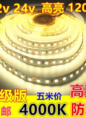 24v4000K高亮12v8mm防水120珠中性光4500K自然白太阳光led灯带条