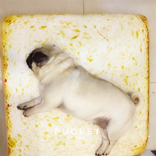 可拆洗吐司面包垫-宠物睡垫猫咪垫子狗笼狗窝垫中小型犬棉垫地垫