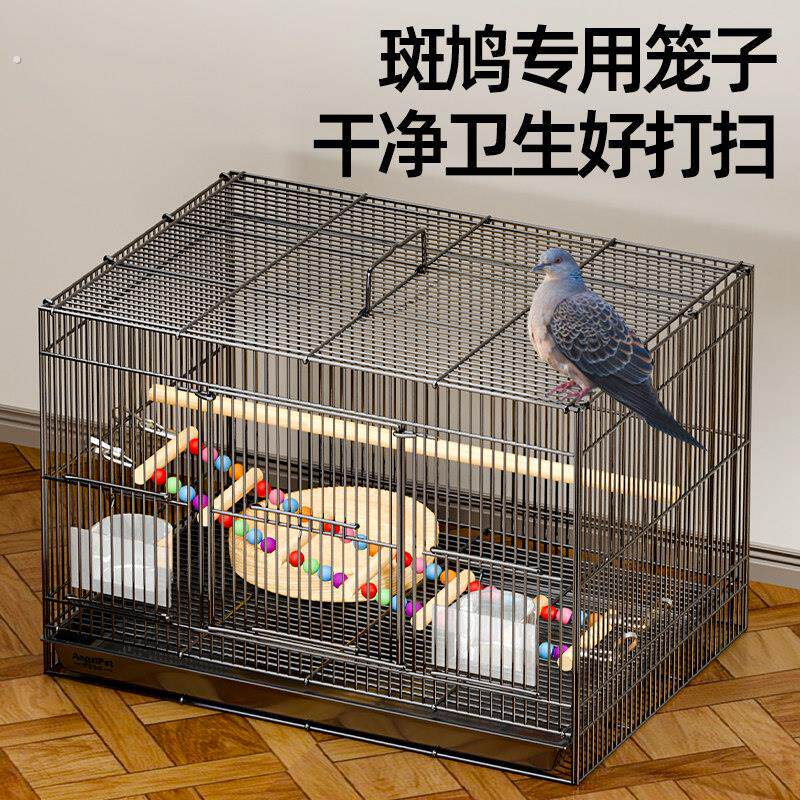 斑鸠专用笼子斑鸠鸟笼养殖笼子养斑鸠活鸟家养的笼子超大号繁殖窝