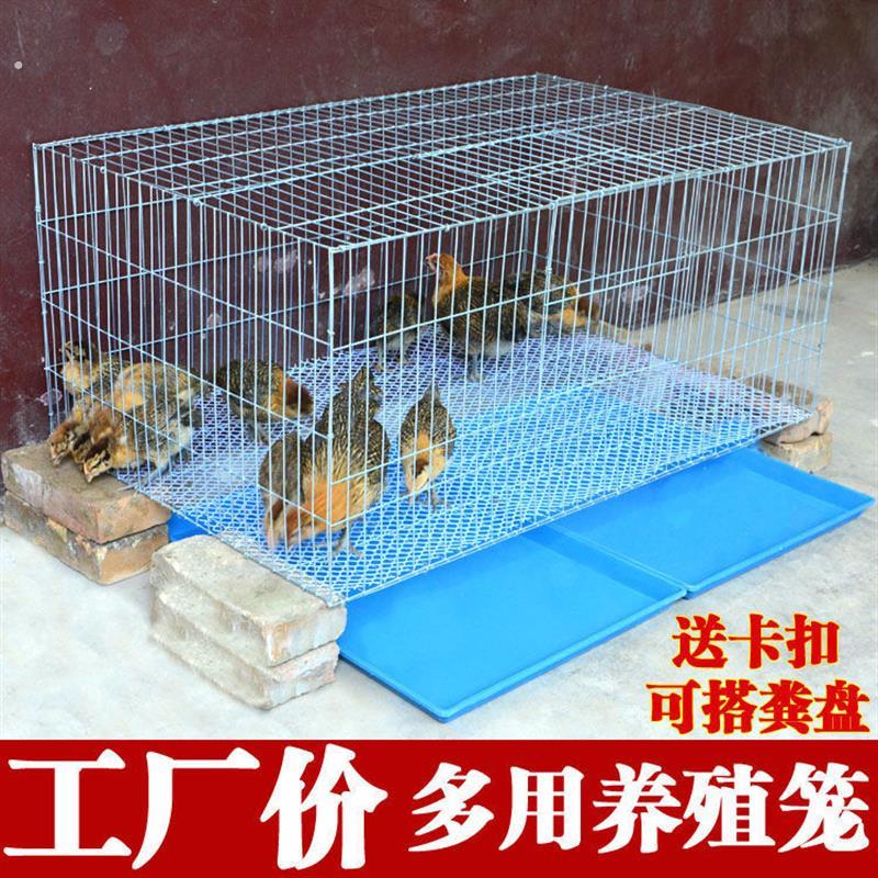 养小鸭子笼子小鸡专用饲养笼家用室内外宠物柯尔鸭窝加密大别墅品