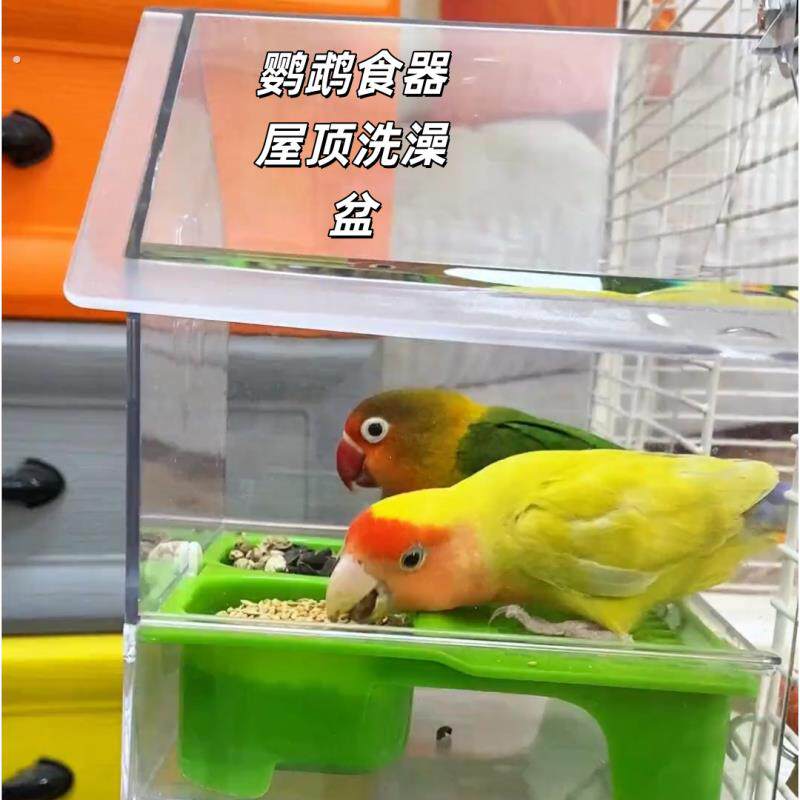 鹦鹉新款屋顶透明喂食器防溅洗澡盆虎皮牡丹外挂多功防溅鸟食盒
