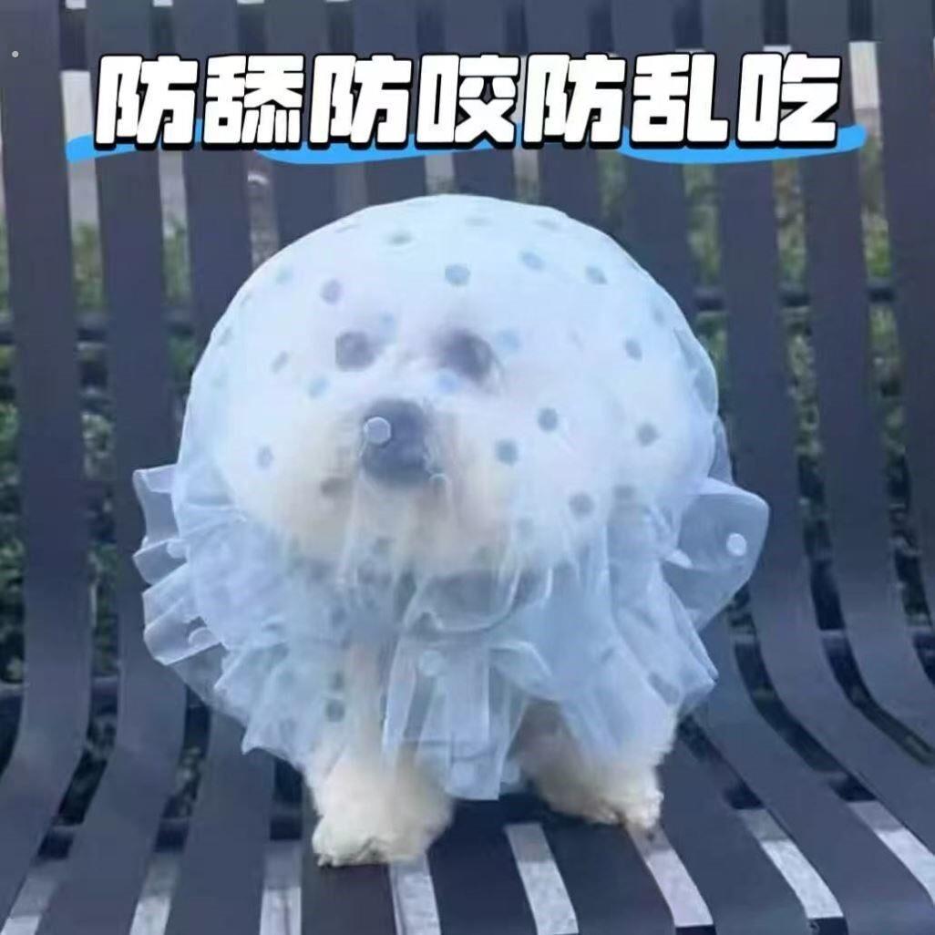 狗狗网纱头套外出防误食乱吃蓝色波点面纱嘴套防舔网套小型犬口罩