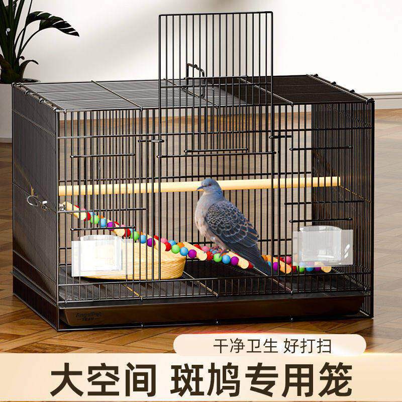 斑鸠专用笼子斑鸠鸟笼养殖笼子养斑鸠活鸟家养的笼子超大号繁殖窝