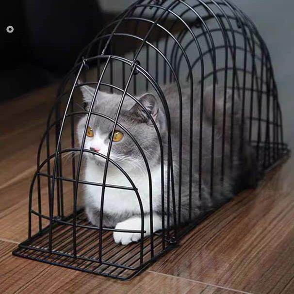 洗猫笼猫咪洗澡专用洗猫神器洗猫袋吹风防抓咬吹干固定防抓猫用品