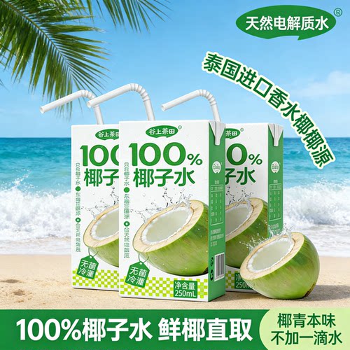【鲜榨现发】100% 椰子水 NFC 鲜椰直榨无添加新鲜椰汁饮料