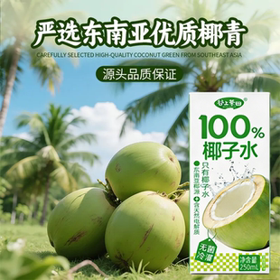 百分百纯椰子水天然电解质水0糖0脂肪孕妇专用果汁健康饮料