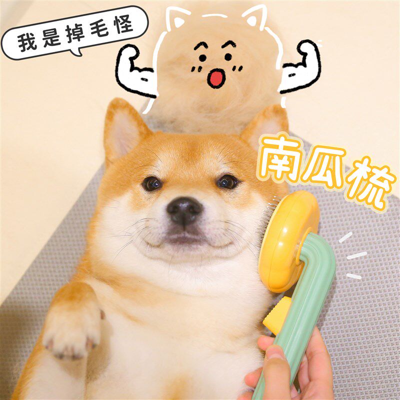 浮毛退散!柴犬狗狗南瓜梳子掉毛刷宠物猫咪针梳排梳去浮毛神器