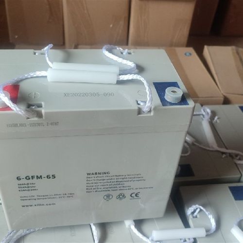 xilin西林堆高机搬运车电池12V65Ah