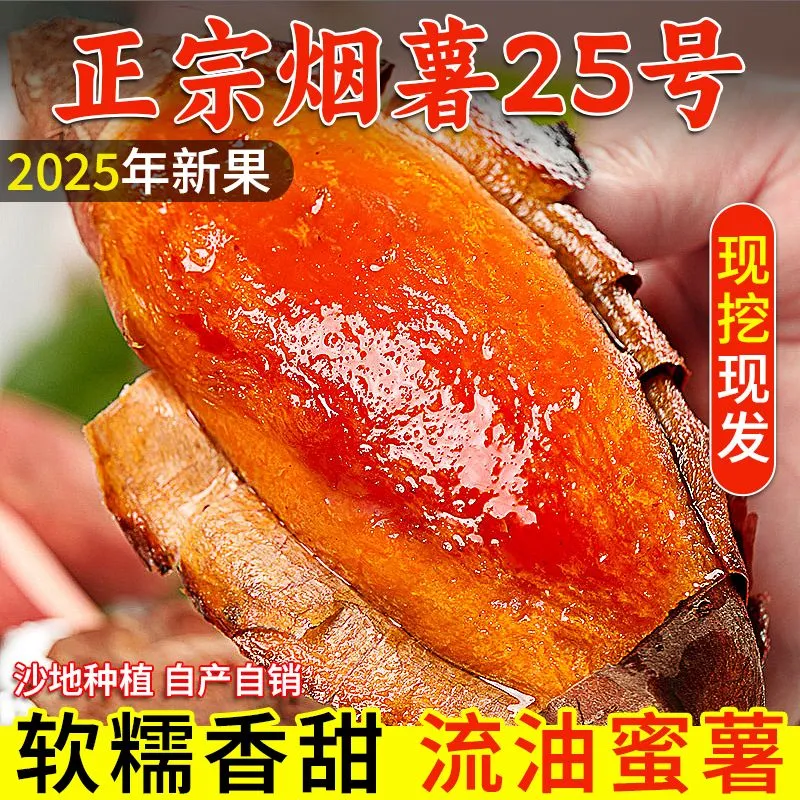 山东正宗烟薯25号红薯新鲜糖心地瓜现挖流油蜜薯农家番薯沙地山芋
