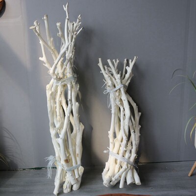 干树枝白树叉枯树枝天然去皮橘子树枝干花园艺橱窗造景摆放装饰