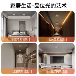 极简明装射灯深防眩光斗胆灯无主灯照明客厅防眩目筒灯双头吸顶式