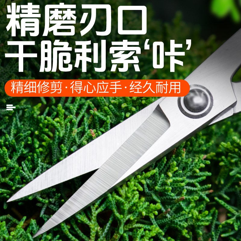 鼎木叶芽剪小枝切剪盆景专用工具剪刀修剪园艺修枝专业花剪插花剪