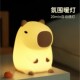 黑白客豚门小夜灯卡皮巴拉儿童床头伴睡喂奶定时充电治愈氛围灯
