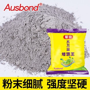 卫生间补漏王快速防水泥堵漏剂回填宝厕所水池鱼池防漏水涂料材料