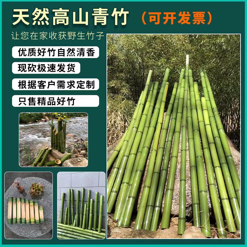 现砍新鲜竹子竹筒高山青竹婚庆花艺装饰桌面摆件短竹段竹筒商用