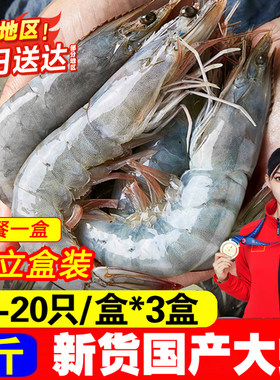 新鲜青岛大虾子国产虾低脂白虾鲜活冷冻冰鲜水冻虾批发大虾海鲜