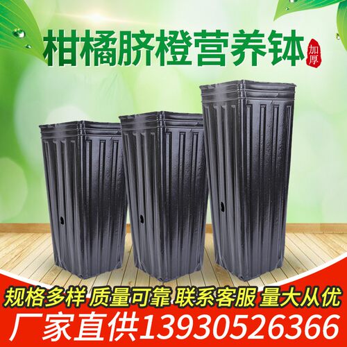 脐橙杯柑橘杯细长方口加厚加高黑色一次性营养钵育苗杯塑料育苗袋