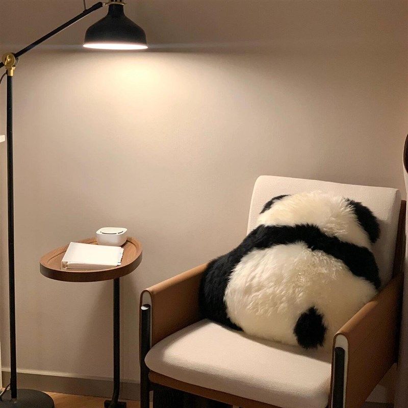 熊猫背影抱枕沙发女生可爱毛绒玩偶客厅装饰品办公室靠枕娃娃公仔,居家布艺,靠垫/抱枕,淘宝优惠券,粉丝福利购,淘宝优惠卷