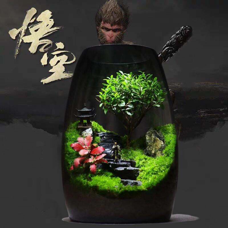 苔藓微景观生态瓶造景植物桌面黑神话悟空创意摆件可养辣椒蟹鱼缸