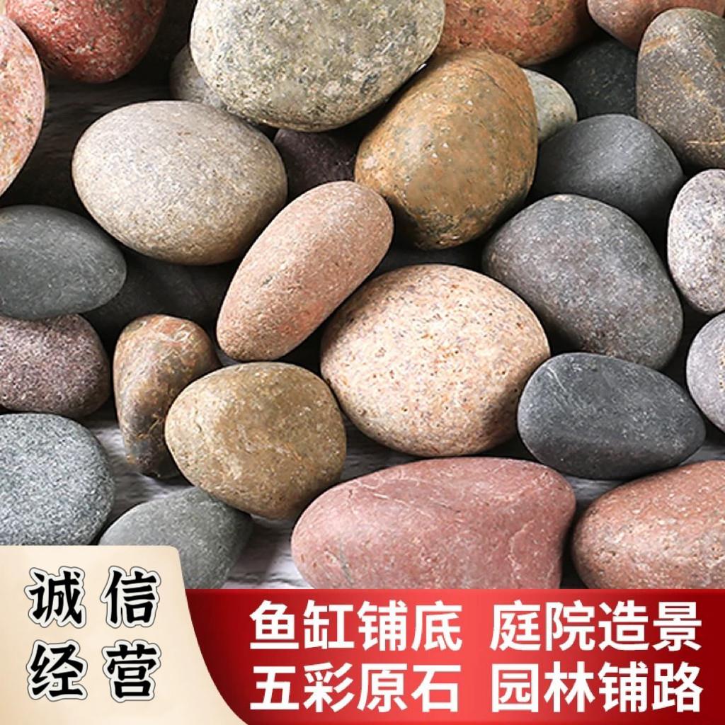 福建河卵石鹅卵石变电站河卵石园林铺路造景鹅卵石天然河卵石