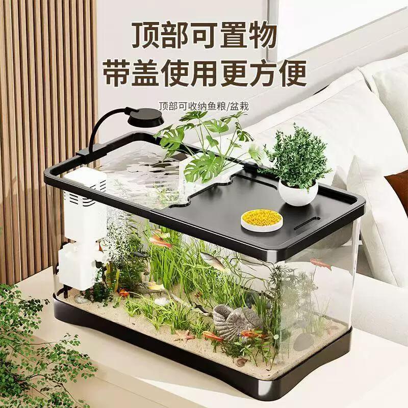 桌面生态鱼缸客厅小型金鱼缸创意亚克力塑料迷你免换水懒人斗鱼缸