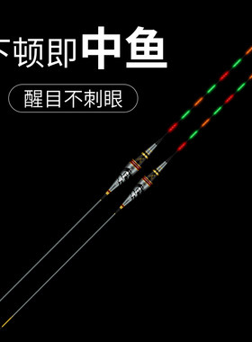 湘访纳米夜光漂电子票黑坑滑口鲤鱼鲫鱼漂近视加粗高灵敏超亮浮标