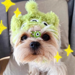 约克夏专用帽子宠物小狗狗头套冬天冬季可爱保暖小型犬幼犬用品