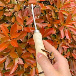 花小白园艺小锄头松土锄地挖坑种植木柄不锈钢家用工具花园工具