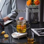 全玻璃养生壶家用多功能电热玻璃水杯花茶壶办公室迷你小型煮茶器