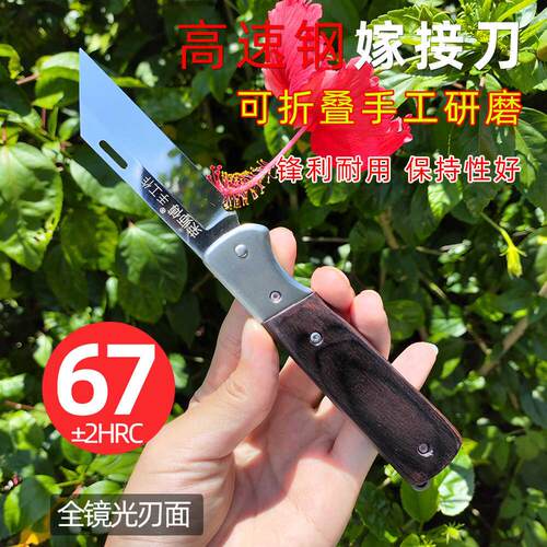 M42镜光高速网折叠嫁接刀黑檀柄专用园林果树嫁接工具园艺芽接刀