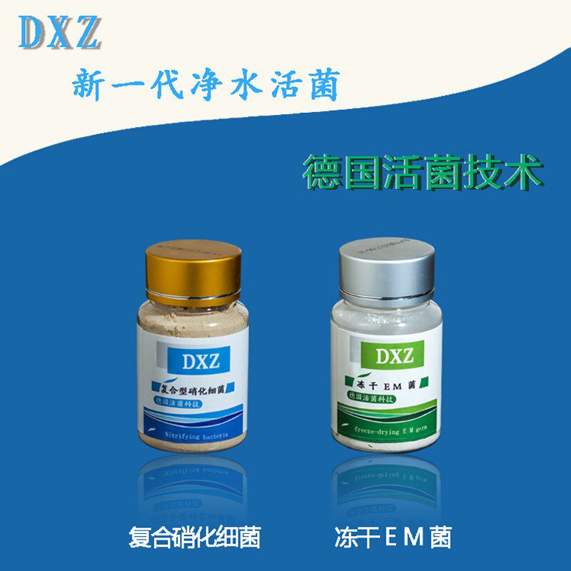 DXZ水族复合硝化菌反硝化菌活菌鱼缸净水剂消化细菌干粉硝化细菌