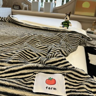 舒适兔兔绒黑色条纹毛毯泰迪绒午休毯盖毯秋冬加厚毯子卧室沙发