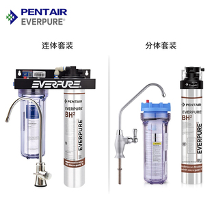 爱惠浦净水器BH2家用直饮机过滤器北方专用去除水垢EV9612-50滤芯