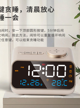 多功能充电闹钟支援FM收音机 简约静音床头学生用闹铃