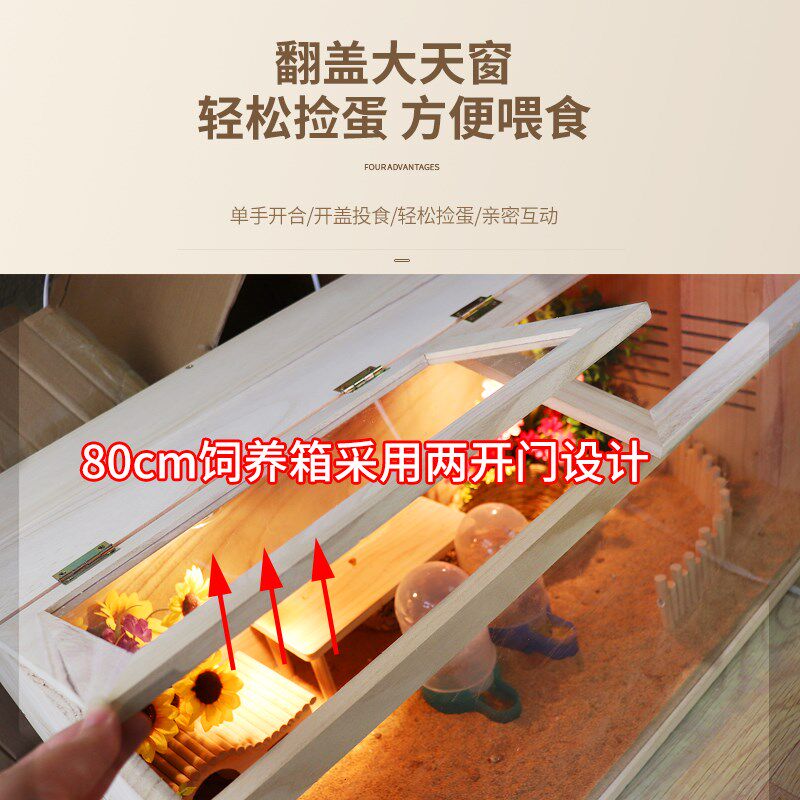 芦丁鸡饲养箱全套宠物保温专用饲养箱观赏笼养殖小鸡箱子房子笼子