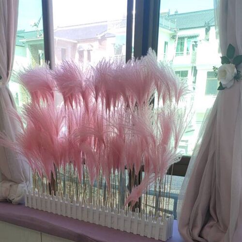 天然芦苇干花永生花束橱窗装饰摆件芦苇花拂尘花麦穗干花婚庆道具