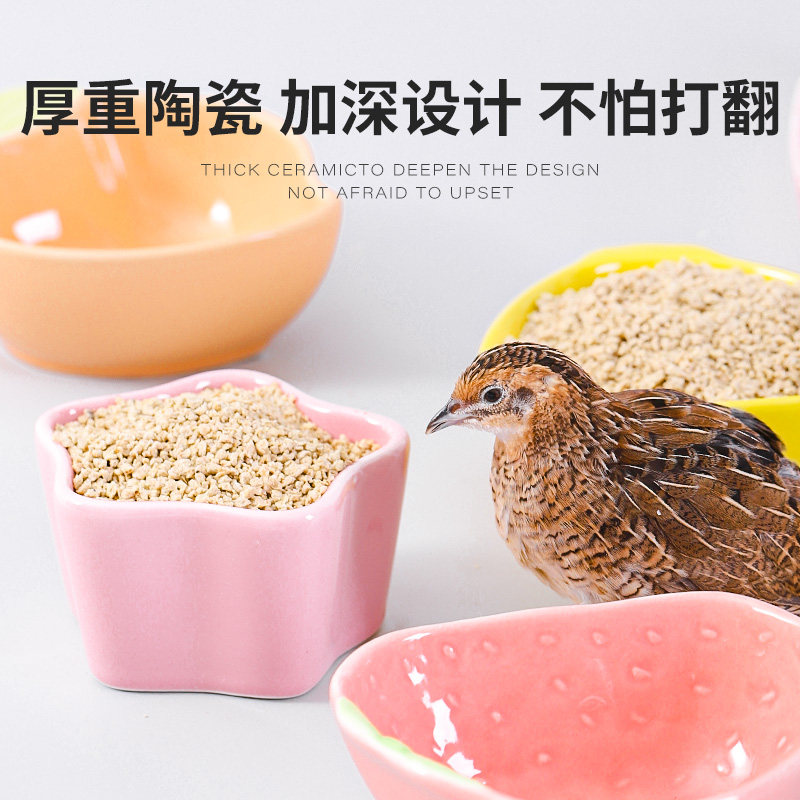 芦丁鸡喂食器鹦鹉自动下料器鸽子饮水器水壶鸟食盒雏鸡小鸡喂水器,宠物/宠物食品及用品,鸟禽喂食器/喂水器,淘宝优惠券,粉丝福利购,淘宝优惠卷