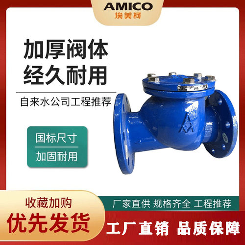 埃美柯铸铁法兰旋启止回阀软密封